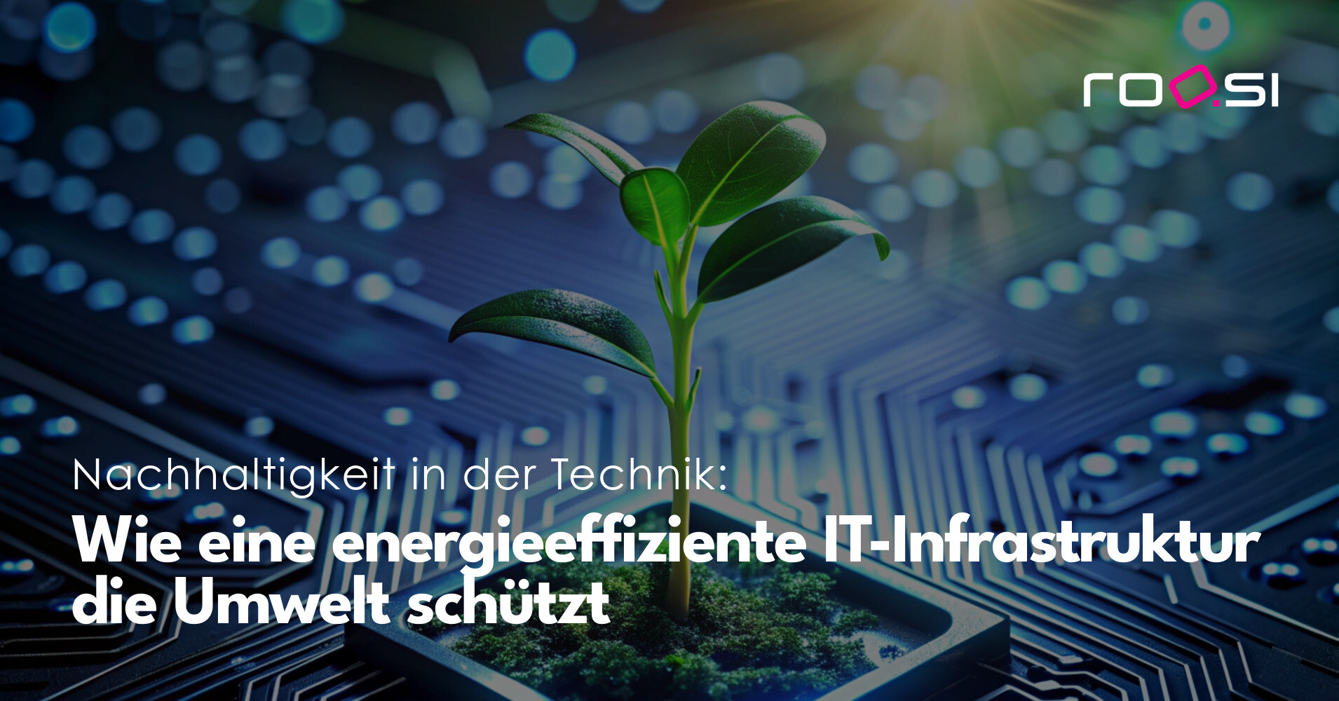 roosi_blog_nachhaltigkeit_wie_energieeffiziente_it-infrastruktur_umwelt_schuetzt